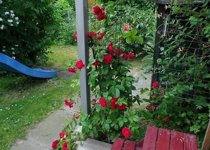 Hébergement de vacances Appelboom