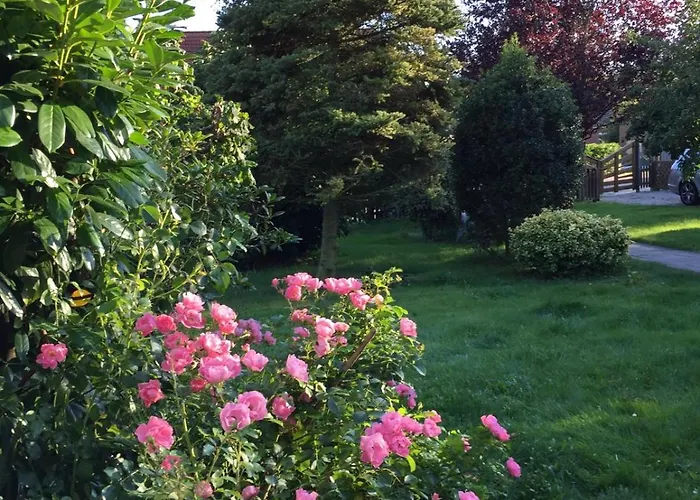 Appelboom Garding